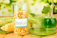Earley biofuel availability